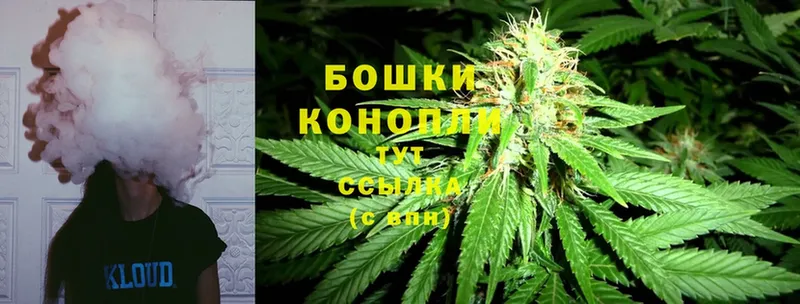 Конопля SATIVA & INDICA  как найти   blacksprut как войти  Исилькуль 